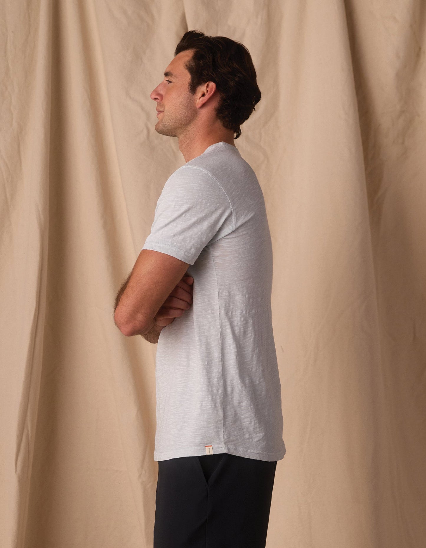 Vintage Slub Perfect Tee in Mist